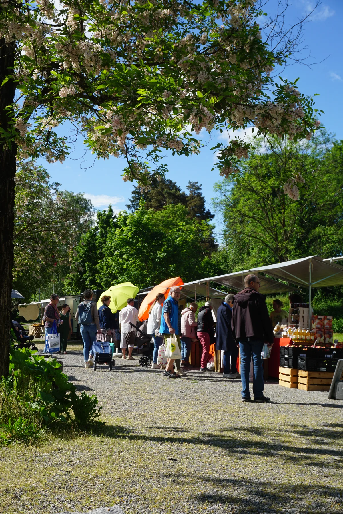 Menschen vor Marktstand.